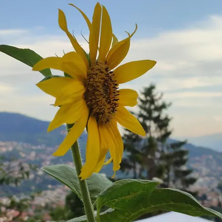 Vip Old Town Garage * Sarajevo